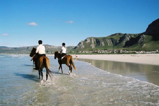 Dawn'S Place Hermanus Exteriér fotografie